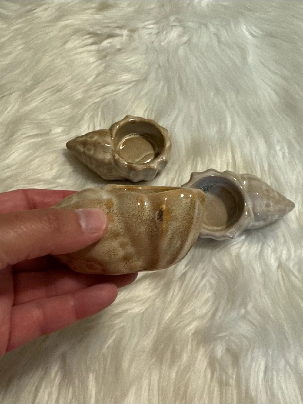 N/A trio seashell